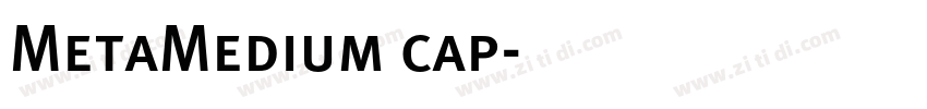 MetaMedium cap字体转换